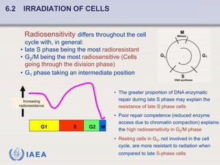 Fundamentals of Radiobiology: Cell Survival and Dose Response Models | PDF