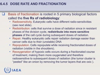 Fundamentals of Radiobiology: Cell Survival and Dose Response Models | PDF