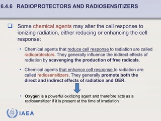 Fundamentals of Radiobiology: Cell Survival and Dose Response Models | PDF