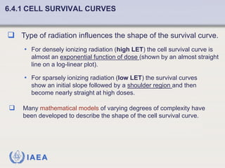 Fundamentals of Radiobiology: Cell Survival and Dose Response Models | PDF