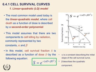 Fundamentals of Radiobiology: Cell Survival and Dose Response Models | PDF