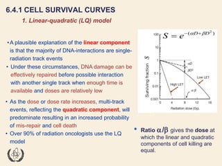 Fundamentals of Radiobiology: Cell Survival and Dose Response Models | PDF