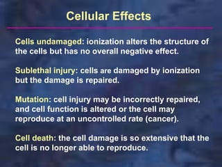Radiobiology Lec.ppt