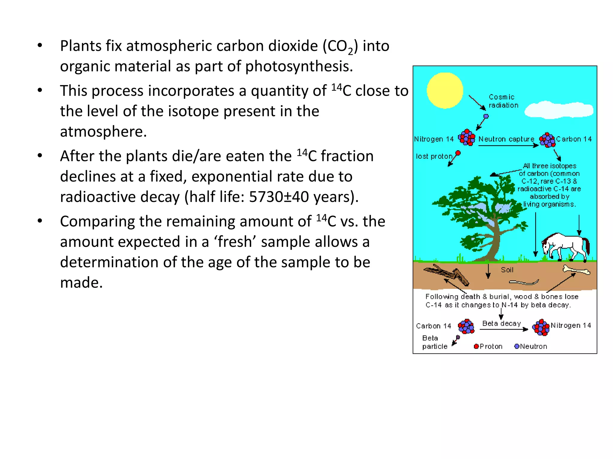 •   Plants fix atmospheric carbon dioxide (CO2) into
    organic material as part of photosynthesis.
•   This process incorporates a quantity of 14C close to
    the level of the isotope present in the
    atmosphere.
•   After the plants die/are eaten the 14C fraction
    declines at a fixed, exponential rate due to
    radioactive decay (half life: 5730±40 years).
•   Comparing the remaining amount of 14C vs. the
    amount expected in a ‘fresh’ sample allows a
    determination of the age of the sample to be
    made.
 