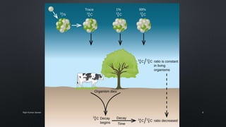 Radiocarbon dating / C-14 Absolute dating methods | PPTX