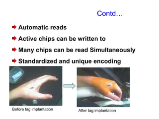 Automatic reads Active chips can be written to Many chips can be read Simultaneously Standardized and unique encoding Contd… Before tag implantation After tag implantation 