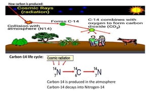 How carbon is produced:
Carbon-14 life cycle:
Carbon-14 is produced in the atmosphere
Carbon-14 decays into Nitrogen-14
 