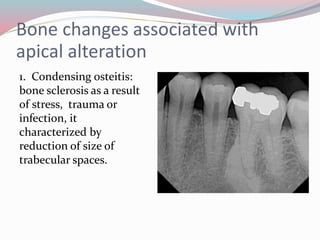 Bone changes associated with
apical alteration
1. Condensing osteitis:
bone sclerosis as a result
of stress, trauma or
infection, it
characterized by
reduction of size of
trabecular spaces.
 