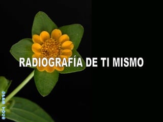 ©PPS TOC® RADIOGRAFÍA DE TI MISMO 