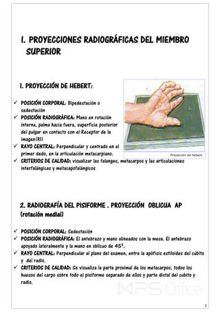 3
I. PROYECCIONES RADIOGRÁFICAS DEL MIEMBRO
SUPERIOR
1. PROYECCIÓN DE HEBERT:
 POSICIÓN CORPORAL: Bipedestación o
sedestación
 POSICIÓN RADIOGRÁFICA: Mano en rotación
interna, palma hacia fuera, superficie posterior
del pulgar en contacto con el Receptor de la
imagen(RI)
 RAYO CENTRAL: Perpendicular y centrado en el
primer dedo, en la articulación metacarpiano.
 CRITERIOS DE CALIDAD: visualizar las falanges, metacarpos y las articulaciones
interfalángicas y metacapofalángicos
2. RADIOGRAFÍA DEL PISIFORME . PROYECCIÓN OBLICUA AP
(rotación medial)
 POSICIÓN CORPORAL: Sedestación
 POSICIÓN RADIOGRÁFICA: El antebrazo y mano alineados con la mesa. El antebrazo
apoyado lateralmente y la mano en oblicuo de 45º.
 RAYO CENTRAL: Perpendicular al plano del examen, entre la apófisis estiloides del cúbito
y del radio.
 CRITERIOS DE CALIDAD: Se visualiza la parte proximal de los metacarpos, todos los
huesos del carpo sobre todo el pisiforme separado de ellos y parte distal del cubito y
radio.
Proyección de Hebert.
 
