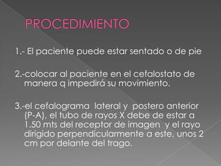 En esta técnica es común el uso del cefalostato  que tiene un soporte de acrílico con extensiones verticales laterales, en cuyas terminales presenta unas olivas plásticas que se introducen en los conductos auditivos externos del paciente.Se toma en relación al plano de Frankfort con el piso.