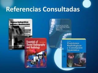 Referencias Consultadas
 