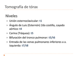 Niveles
 Unión esternoclavicular: t1
 Ángulo de Luis (Esternón) 2da costilla, cayado
aórtico: t4
 Carina (Tráquea): t5
 Bifuración del tronco pulmonar: t5/t6
 Entrada de las venas pulmonares inferiores a a.
izquierda: t7/t8
Tomografía de tórax
 