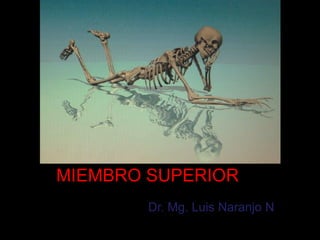 MIEMBRO SUPERIOR
        Dr. Mg. Luis Naranjo N
 