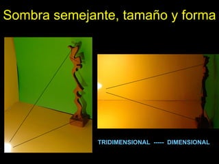 Sombra semejante, tamaño y forma TRIDIMENSIONAL  -----  DIMENSIONAL 