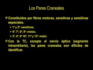 Los Pares Craneales <ul><li>Constituídos por fibras motoras, sensitivas y sensitivas especiales. </li></ul><ul><ul><li>1º ...
