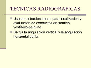 TECNICAS RADIOGRAFICAS
 Uso de distorsión lateral para localización y
evaluación de conductos en sentido
vestíbulo-palatino.
 Se fija la angulación vertical y la angulación
horizontal varía.
 