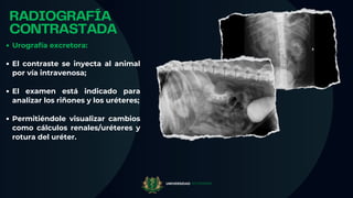 radiografía en perros y gatos práctica uy | PDF