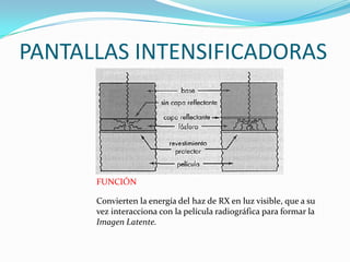 PANTALLAS INTENSIFICADORAS




      FUNCIÓN

      Convierten la energía del haz de RX en luz visible, que a su
      vez interacciona con la película radiográfica para formar la
      Imagen Latente.
 