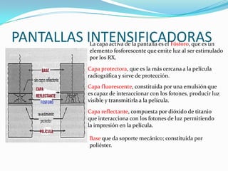 PANTALLAS INTENSIFICADORAS
          La capa activa de la pantalla es el Fósforo, que es un
          elemento fosforescente que emite luz al ser estimulado
          por los RX.
         Capa protectora, que es la más cercana a la película
         radiográfica y sirve de protección.
         Capa fluorescente, constituida por una emulsión que
         es capaz de interaccionar con los fotones, producir luz
         visible y transmitirla a la película.
         Capa reflectante, compuesta por dióxido de titanio
         que interacciona con los fotones de luz permitiendo
         la impresión en la película.

          Base que da soporte mecánico; constituida por
          poliéster.
 