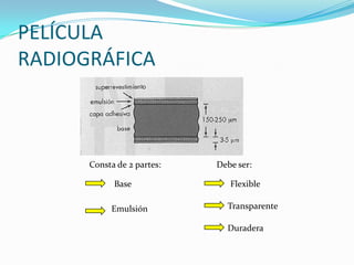 PELÍCULA
RADIOGRÁFICA



      Consta de 2 partes:   Debe ser:

            Base               Flexible

           Emulsión           Transparente

                              Duradera
 