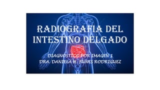 RADIOGRAFIA DEL
INTESTINO DELGADO
DIAGNOSTICO POR IMAGEN 1
DRA. DANIELA H. FUNES RODRIGUEZ
 