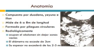 RADIOGRAFIA DEL INTESTINO DELGADO.pdf