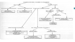 RADIOGRAFIA DEL INTESTINO DELGADO.pdf