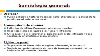 RADIOGRAFIA DEL INTESTINO DELGADO.pdf