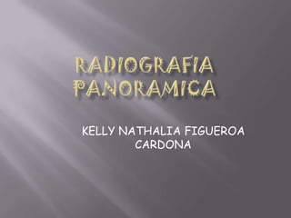 KELLY NATHALIA FIGUEROA
        CARDONA
 