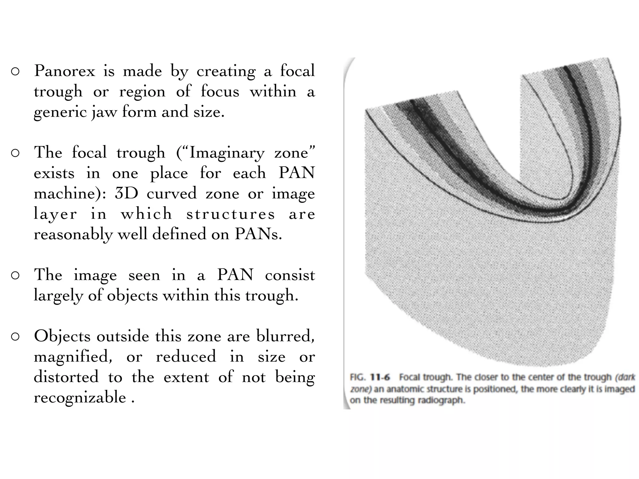 Pinorox Radiograph Analysis - Orthodontics | PDF