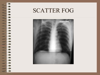 SCATTER FOG 