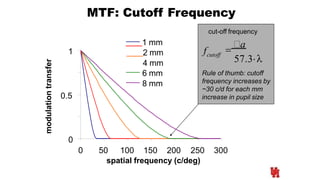 MTF: Cutoff Frequency
0.5
1
1 mm
2 mm
4 mm
6 mm
8 mm
modulationtransfer
0
0 50 100 150 200 250 300
spatial frequency (c/deg)
cut-off frequency
cutofff 
a
57.3
Rule of thumb: cutoff
frequency increases by
~30 c/d for each mm
increase in pupil size
 