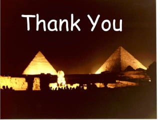 Processing errorsFilm Handling errorsDeveloper cut offA straight blank white border due to underdeveloped portion. The film may not be completely immersed in the developer solution.