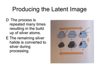 Producing the Latent Image The process is repeated many times resulting in the build up of silver atoms. The remaining silver halide is converted to silver during processing. 