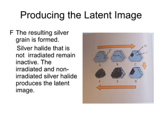 Producing the Latent Image The resulting silver grain is formed. Silver halide that is not  irradiated remain inactive. The irradiated and non-irradiated silver halide produces the latent image. 