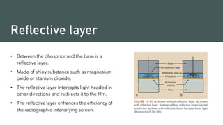 Reflective layer
• Between the phosphor and the base is a
reflective layer.
• Made of shiny substance such as magnesium
oxide or titanium dioxide.
• The reflective layer intercepts light headed in
other directions and redirects it to the film.
• The reflective layer enhances the efficiency of
the radiographic intensifying screen.
 