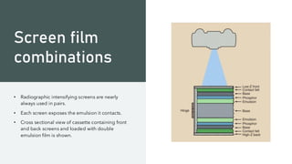 Screen film
combinations
• Radiographic intensifying screens are nearly
always used in pairs.
• Each screen exposes the emulsion it contacts.
• Cross sectional view of cassette containing front
and back screens and loaded with double
emulsion film is shown.
 