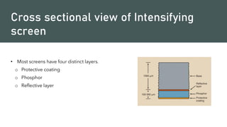 Cross sectional view of Intensifying
screen
• Most screens have four distinct layers.
o Protective coating
o Phosphor
o Reflective layer
 