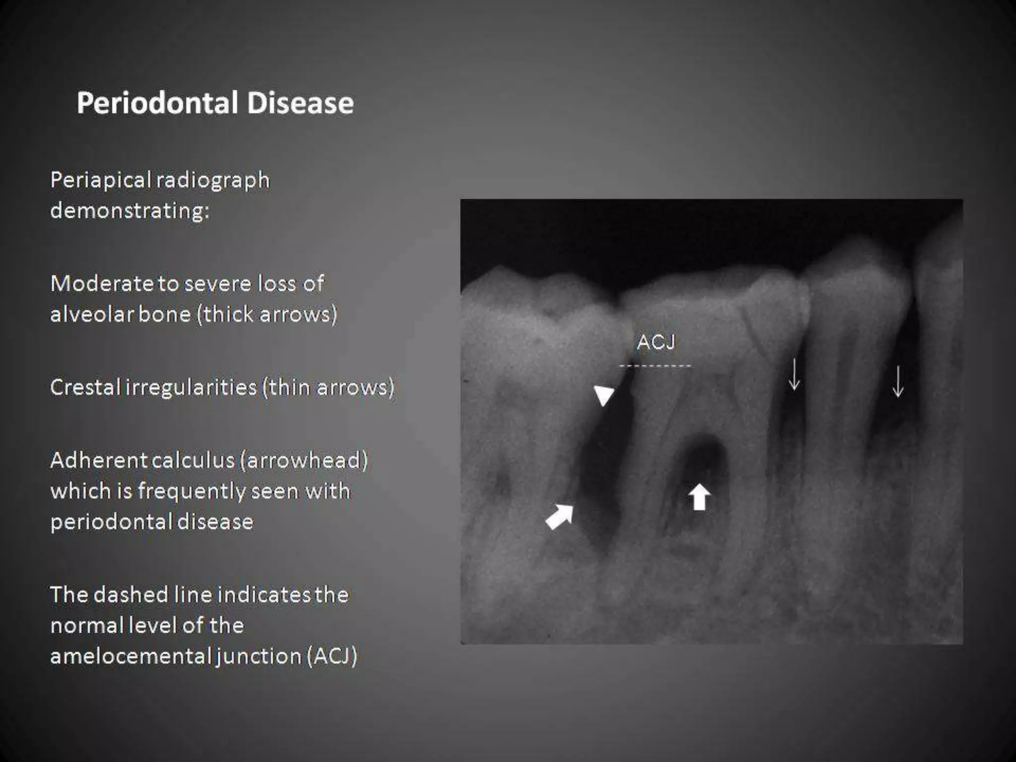 26   Free PowerPoint Template from www.brainybetty.com   11/15/2011
 