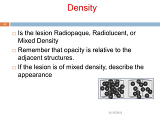Density
41


        Is the lesion Radiopaque, Radiolucent, or
         Mixed Density
        Remember that opacity is relative to the
         adjacent structures.
        If the lesion is of mixed density, describe the
         appearance




                                          11/15/2011
 