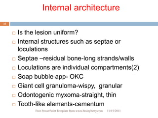 Internal architecture
43


        Is the lesion uniform?
        Internal structures such as septae or
         loculations
        Septae –residual bone-long strands/walls
        Loculations are individual compartments(2)
        Soap bubble app- OKC
        Giant cell granuloma-wispy, granular
        Odontogenic myxoma-straight, thin
        Tooth-like elements-cementum
               Free PowerPoint Template from www.brainybetty.com   11/15/2011
 