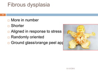 Fibrous dysplasia
44


        More in number
        Shorter
        Aligned in response to stress
        Randomly oriented
        Ground glass/orange peel app




                                         11/15/2011
 