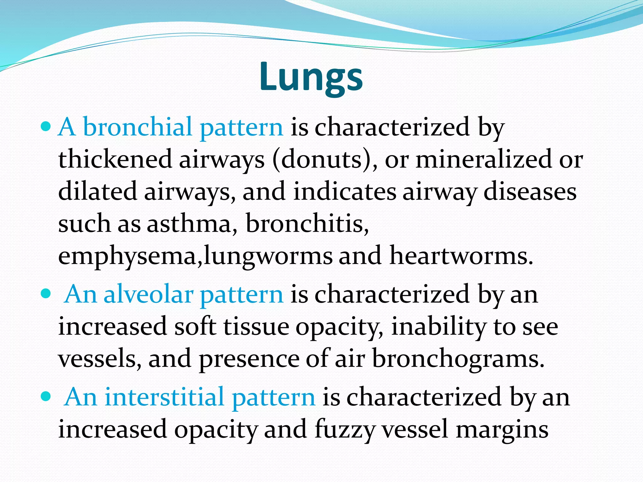 Radiographic interpretation | PPTX