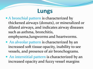 Alveolar Pattern Rcc Radiographic interpretation | PPTX