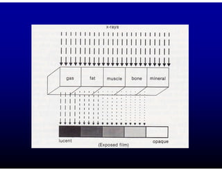 Reading Radiographs Radiographic interpretation.pdf