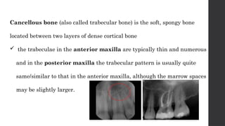 radiographic landmarks of maxilla and mandible | PPTX