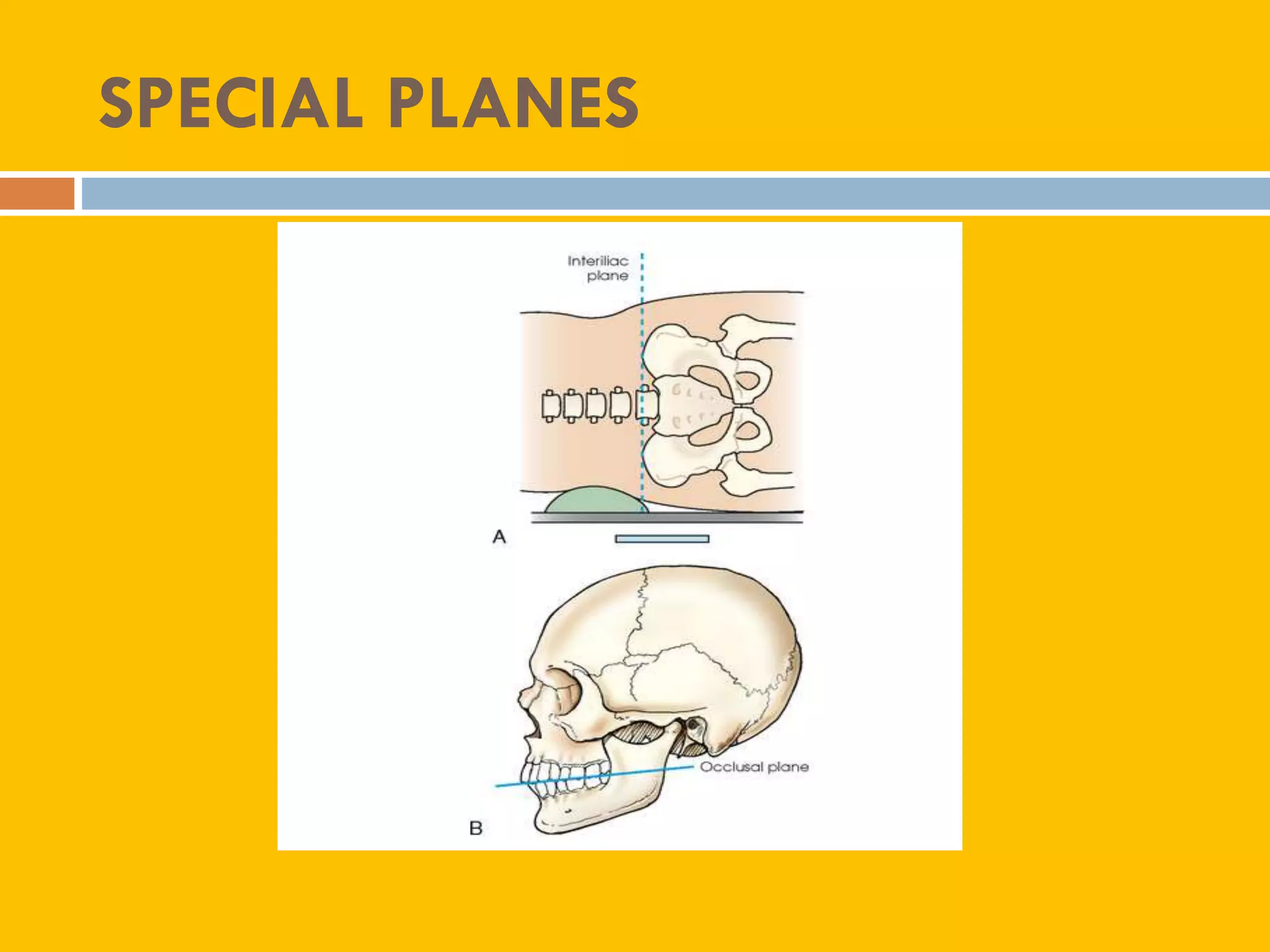 Radiographic positioning terminology By A.H Nelson Medical Physicist | PDF