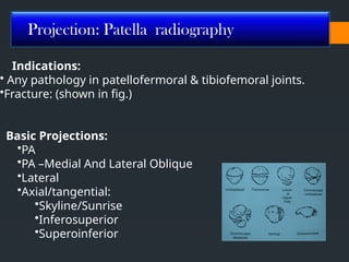 Radiographic technique of Leg, Knee, Femur V2.pptx
