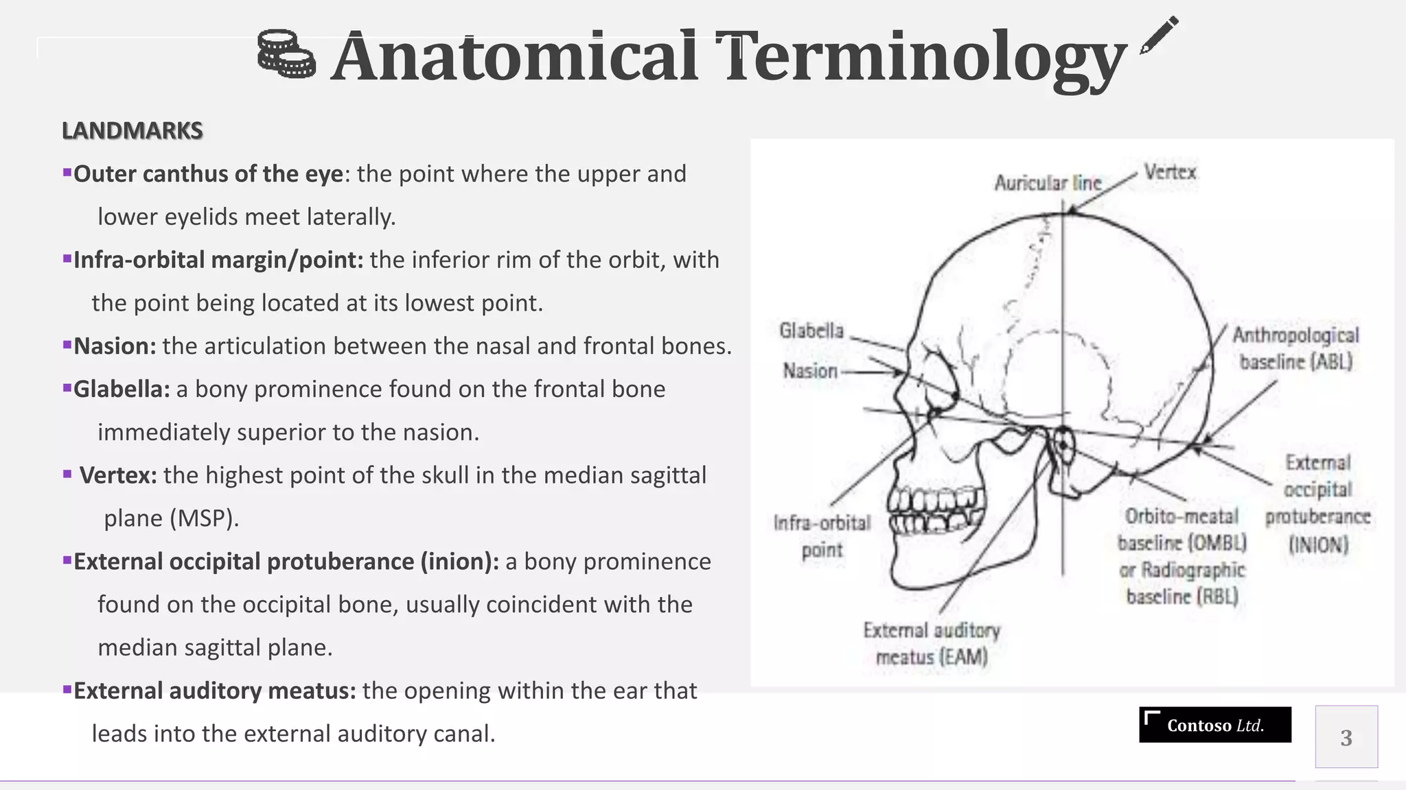 Contoso Ltd.
Anatomical Terminology
LANDMARKS
Outer canthus of the eye: the point where the upper and
lower eyelids meet laterally.
Infra-orbital margin/point: the inferior rim of the orbit, with
the point being located at its lowest point.
Nasion: the articulation between the nasal and frontal bones.
Glabella: a bony prominence found on the frontal bone
immediately superior to the nasion.
 Vertex: the highest point of the skull in the median sagittal
plane (MSP).
External occipital protuberance (inion): a bony prominence
found on the occipital bone, usually coincident with the
median sagittal plane.
External auditory meatus: the opening within the ear that
leads into the external auditory canal. 3
 